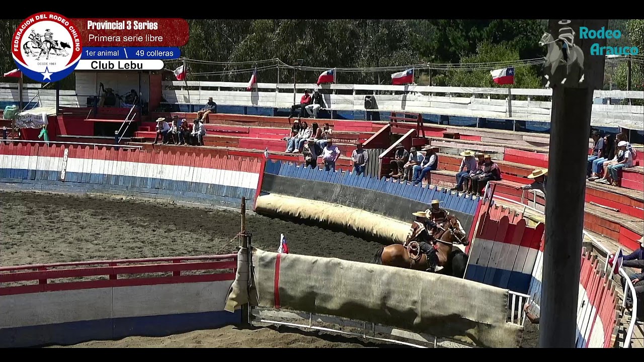 Primera serie libre Rodeo provincial 3 series libres Club Lebu