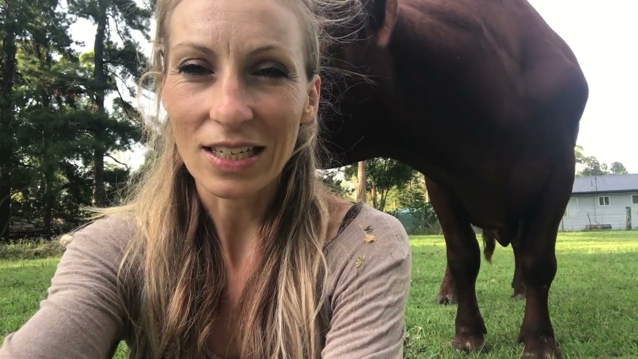 Help Save Mr Bull