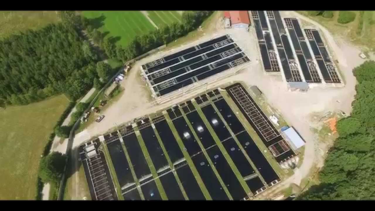 Stawy Rybne Skrzeszewo Mieczysław Pełka/Fishfarm in Skrzeszewo Mieczyslaw Pelka