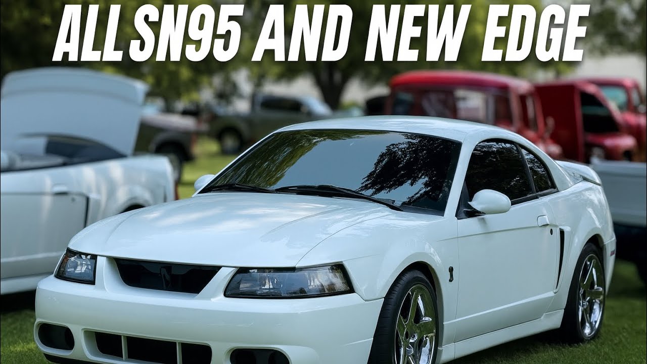 Every SN95 & New Edge Mustang at Illinois’ Biggest Mustang Show!