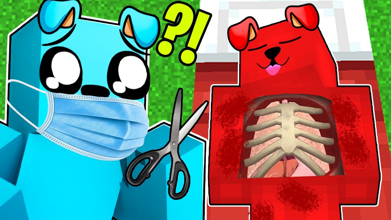 POWAŻNA OPERACJA z Pimpkiem 💉😱