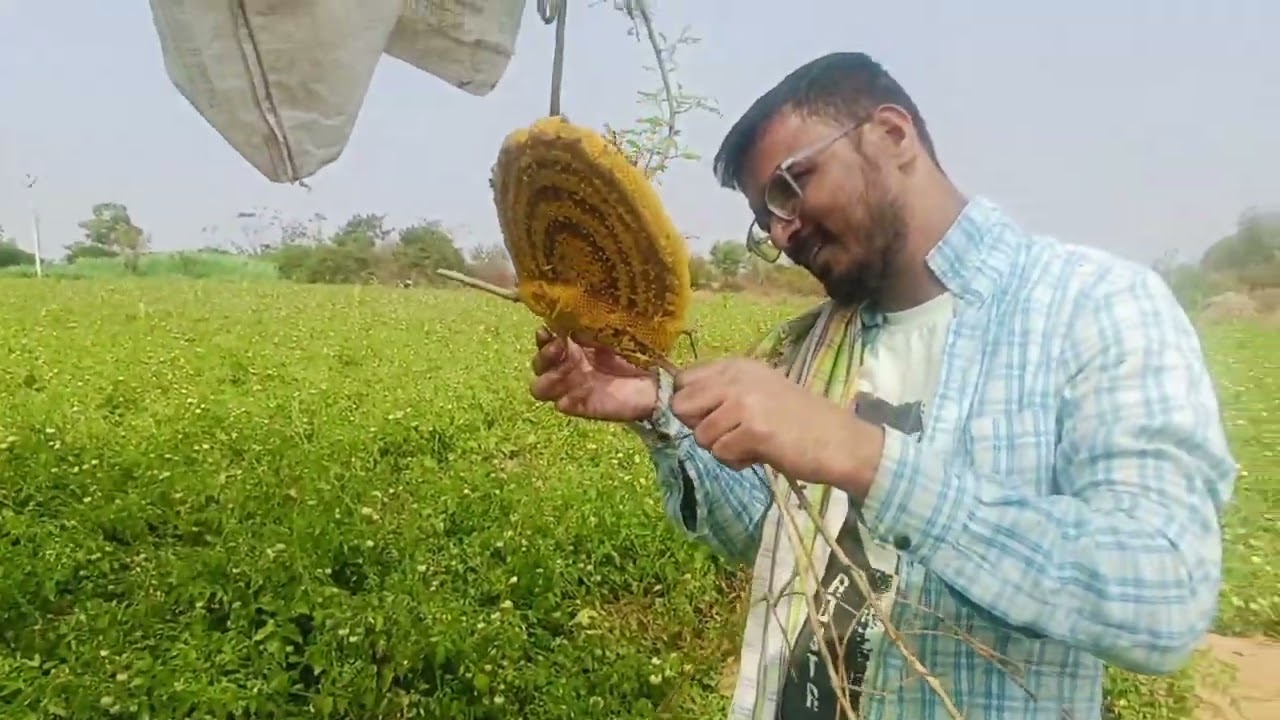 Honey story in the field 🌴🌾 with family #chottu #family #viral #trending #youtubevideo #honey #field