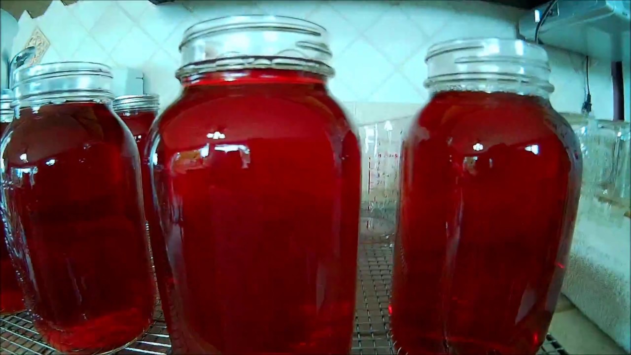 Making Crab Apple Concentrate from Paradis Garden