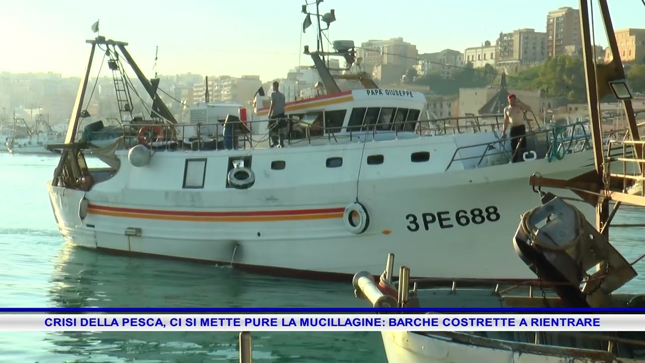 CRISI DELLA PESCA  CI SI METTE PURE LA MUCILLAGINE, BARCHE COSTRETTE A RIENTRARE