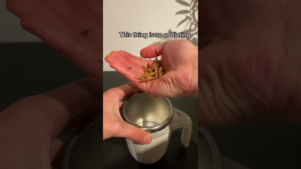 Easy Cinnamon Milk 🥛