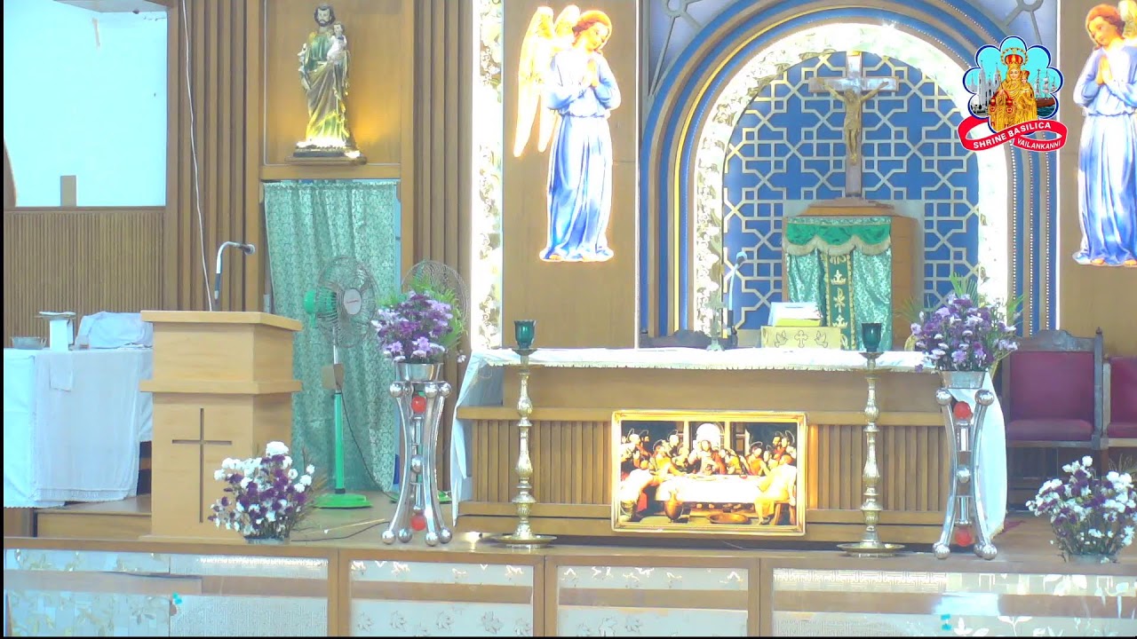 🔴 Live 29 January 2026 @ Vailankanni Shrine Basilica