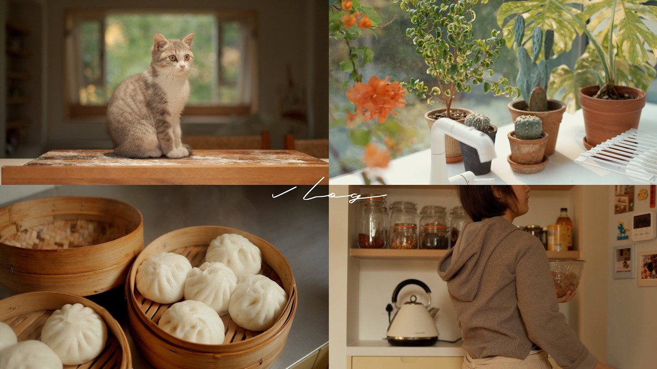 「Vlog」照顾植物，和小猫一起生活，做2种馅料的包子【萝卜丝猪肉包&蒜苗粉丝猪肉包】