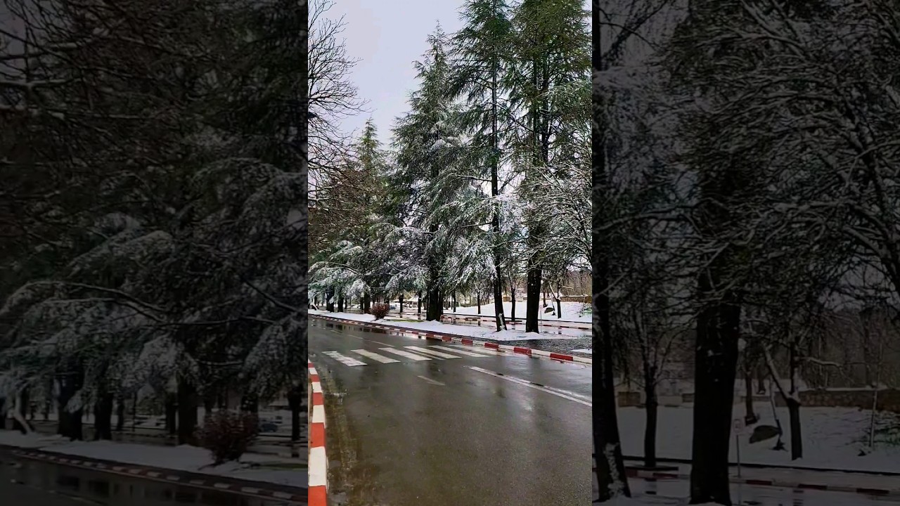 Ifrane Aujourd'hui #افران #المغرب #ifrane #neige #nature #love
