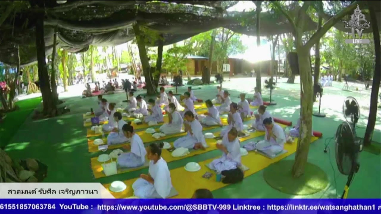 Live สด ปฏิบัติธรรม ฟังธรรม ทุกวันอาทิตย์