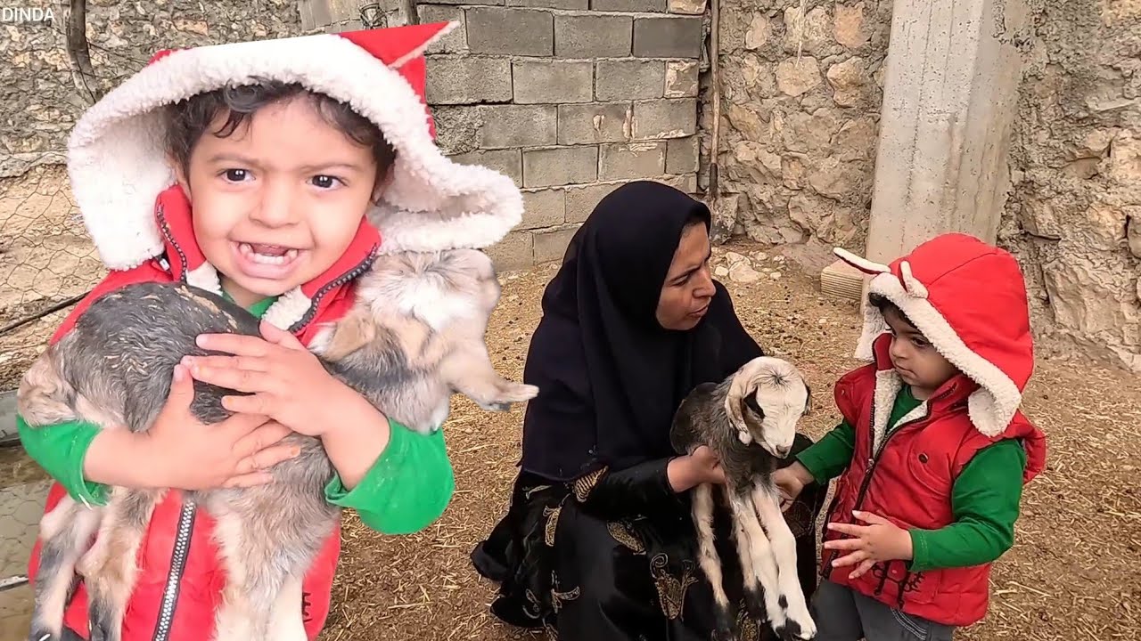 The story of a nomadic pastoralist family in the village: a true and entertaining story