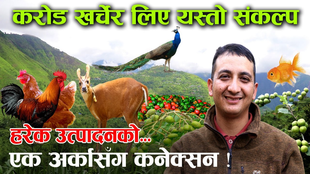 कृषि र पशुपालनमा लागेर बनाउँदैछन् यस्तो विविधतायुक्त फार्म, भन्छन्– अब हामीले नगरे कसले गर्ने ?