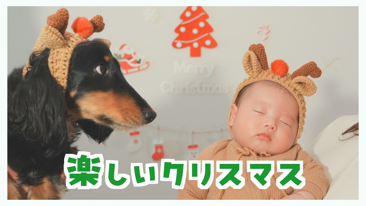 クリスマスコーデでサンタさんとおさんぽ