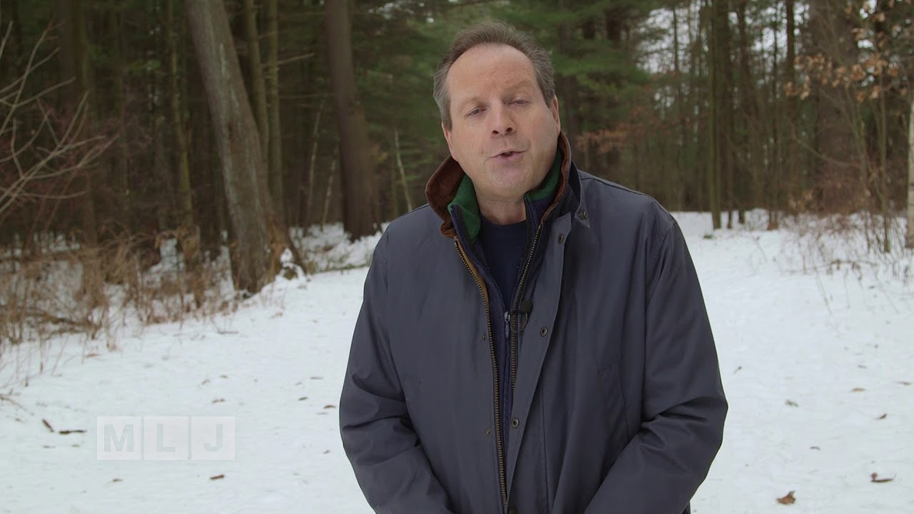 Remembering the Ice Storm of '98