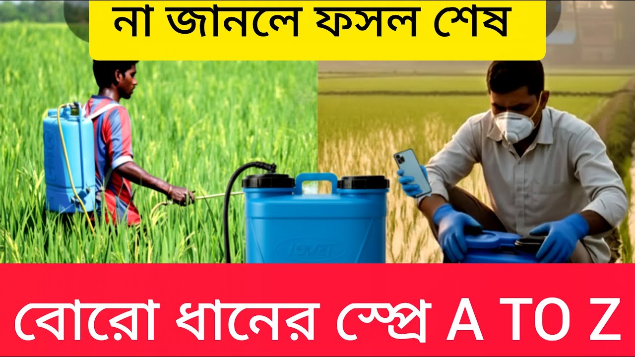 ধানের চাপান এর পর প্রথম স্প্রে|Boro Dhan ছত্রাক ব্যাকটেরিয়া ও মাজরা নিয়ন্ত্রণ|ধান চাষের পরিচর্যা,