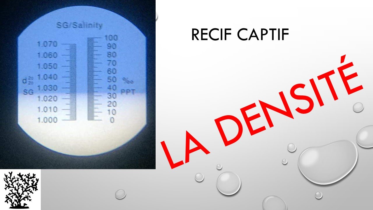 La densité de l'eau de mer - Mr Recif Captif #32