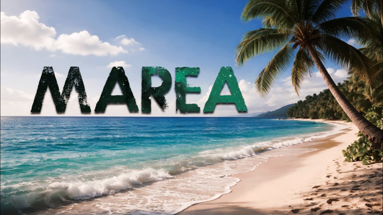 MAREA - Noyler ADN / Solo quiero tenerte nuevamente ( Lyric Visualizer ) EP CLAZICOZ