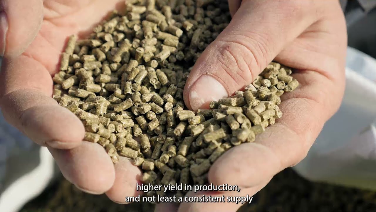 Advanced feed analysis for everyone with NIRS™ DS3