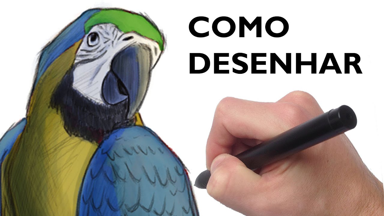 Como DESENHAR uma ARARA
