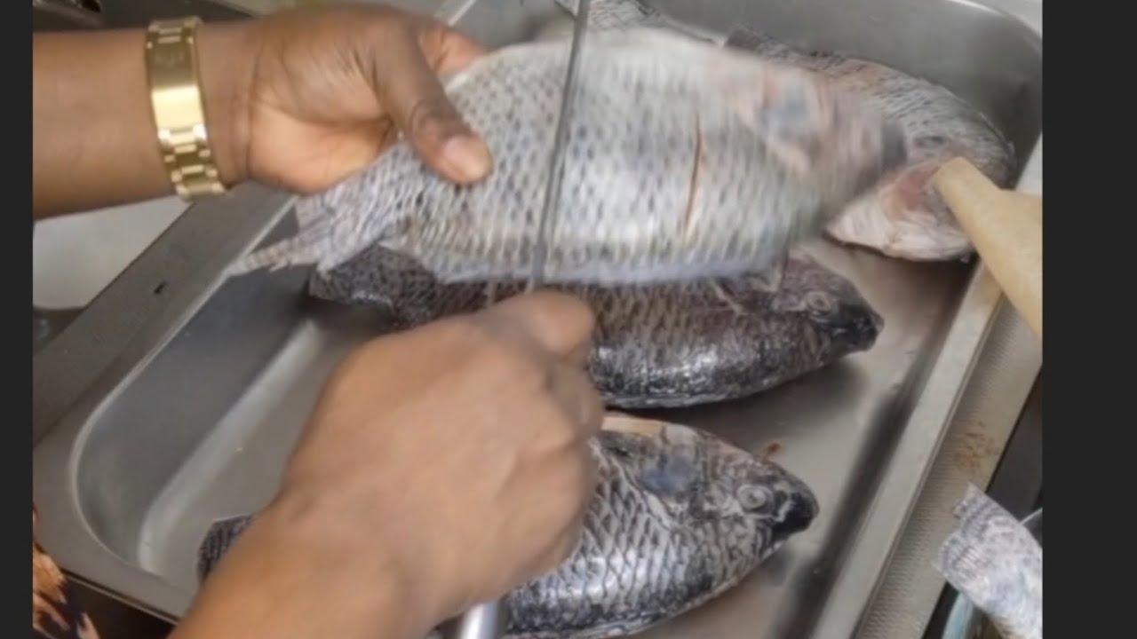Tilapia fish lovers, try this recipe you