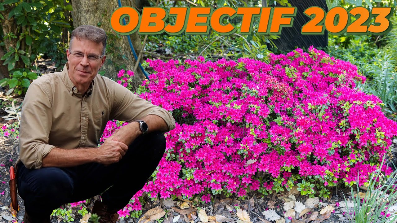 JE PLANTE UN MASSIF D'AZALÉE POUR LE PRINTEMPS 2023 - Que Faire Dans Mon Jardin ? Semaine 43