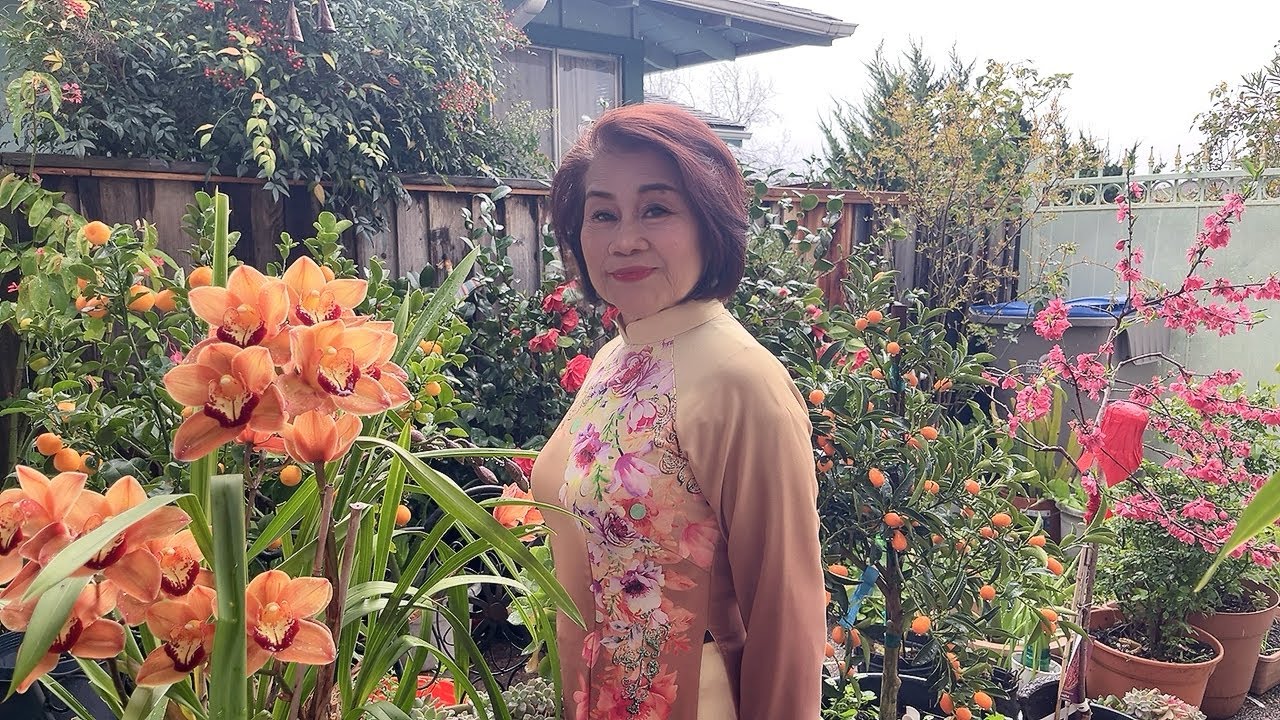 Đêm Giao Thừa Nghe Một Khúc Dân Ca – Cover | Sáng tác: Võ Đông Điền | Trình bày: Phương Tịnh