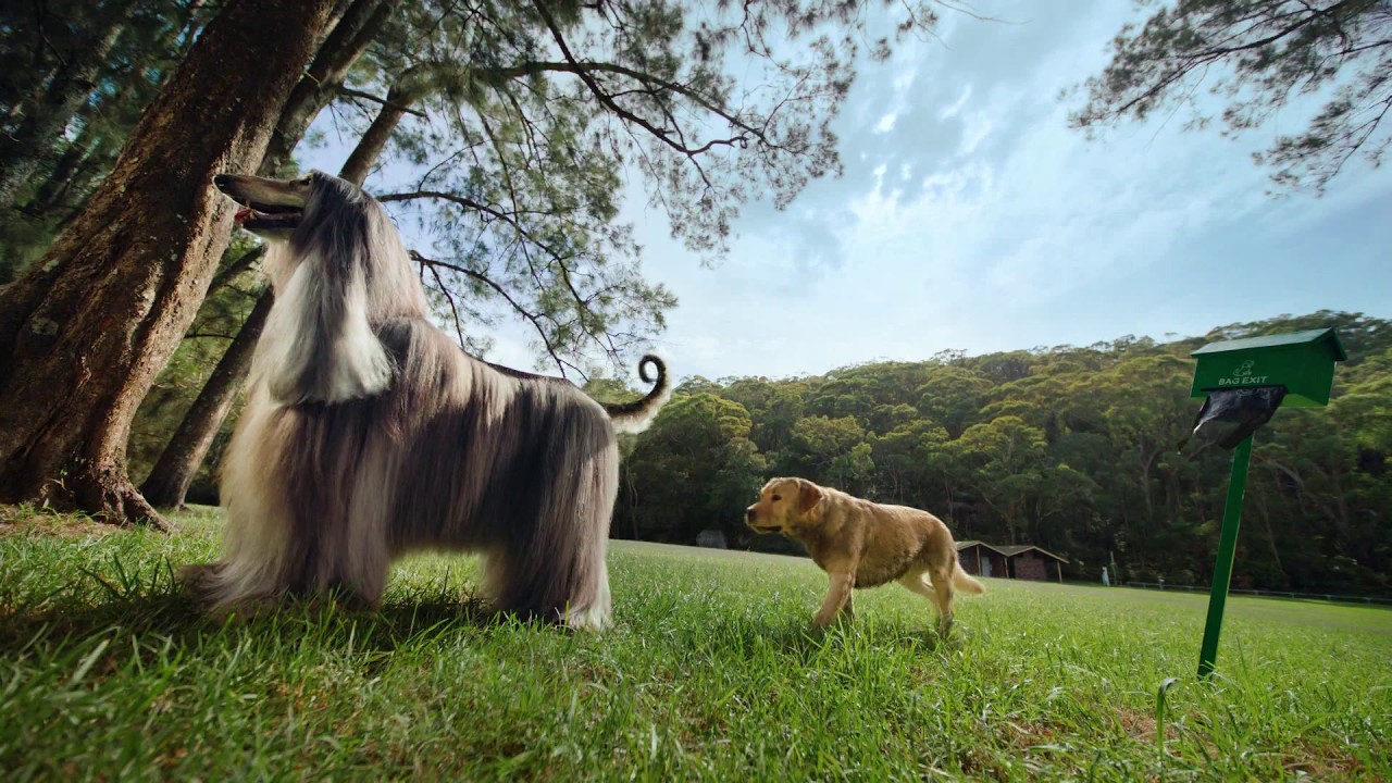 Advocate Ultra Dog Chew ad 2026 uncensored GROSS!