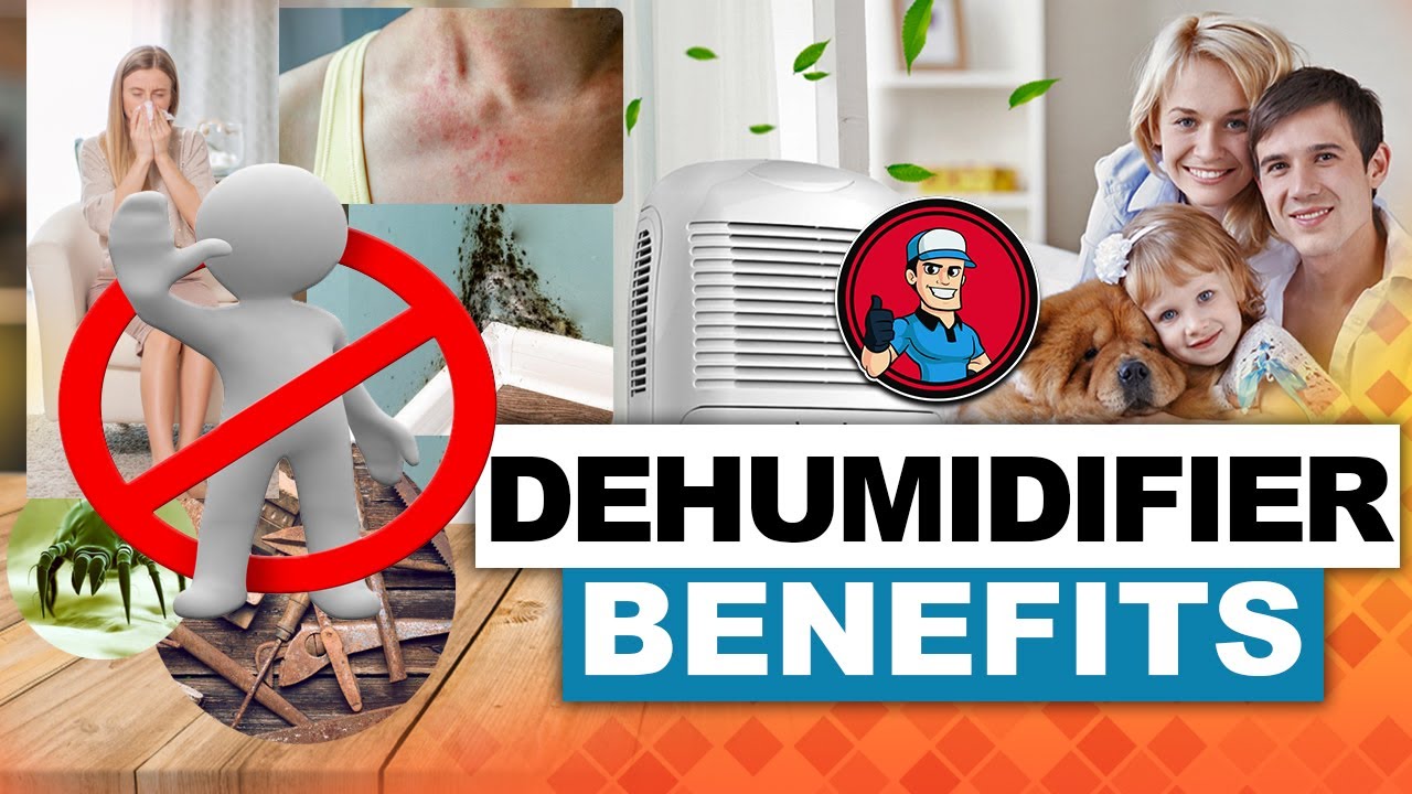 Преимущества осушителя воздуха 👍: чего вы лишаетесь! | Обучение HVAC 101