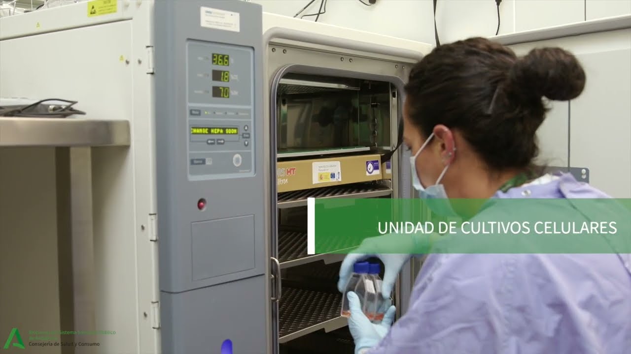Visita Virtual al Nodo Coordinador del Biobanco del SSPA _ Subtitulado