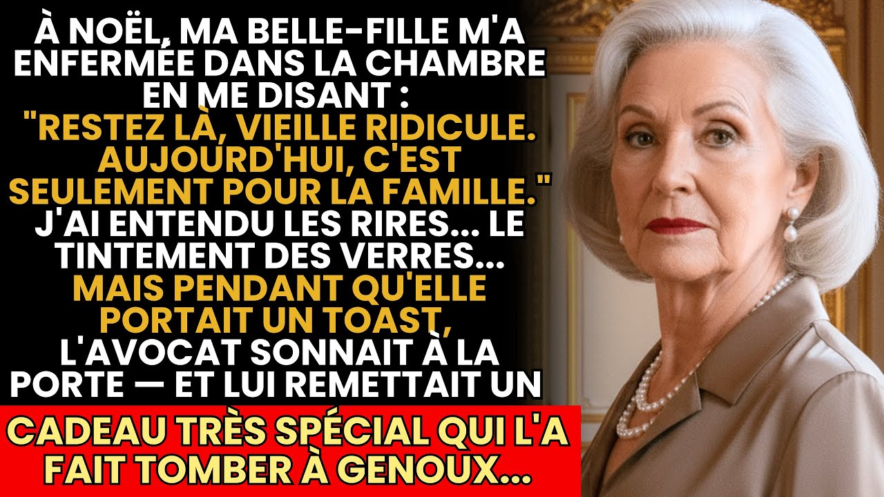 À Noël, Ma Belle-Fille M’a Chassée Du Dîner… Mais L’Avocat L’a Mise À Genoux…