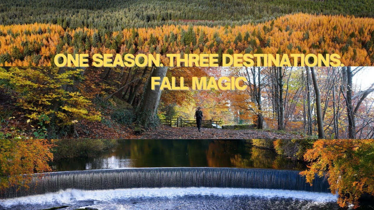 Ultimate Fall Escape: 3 Places 1 Week of Autumn Vibes