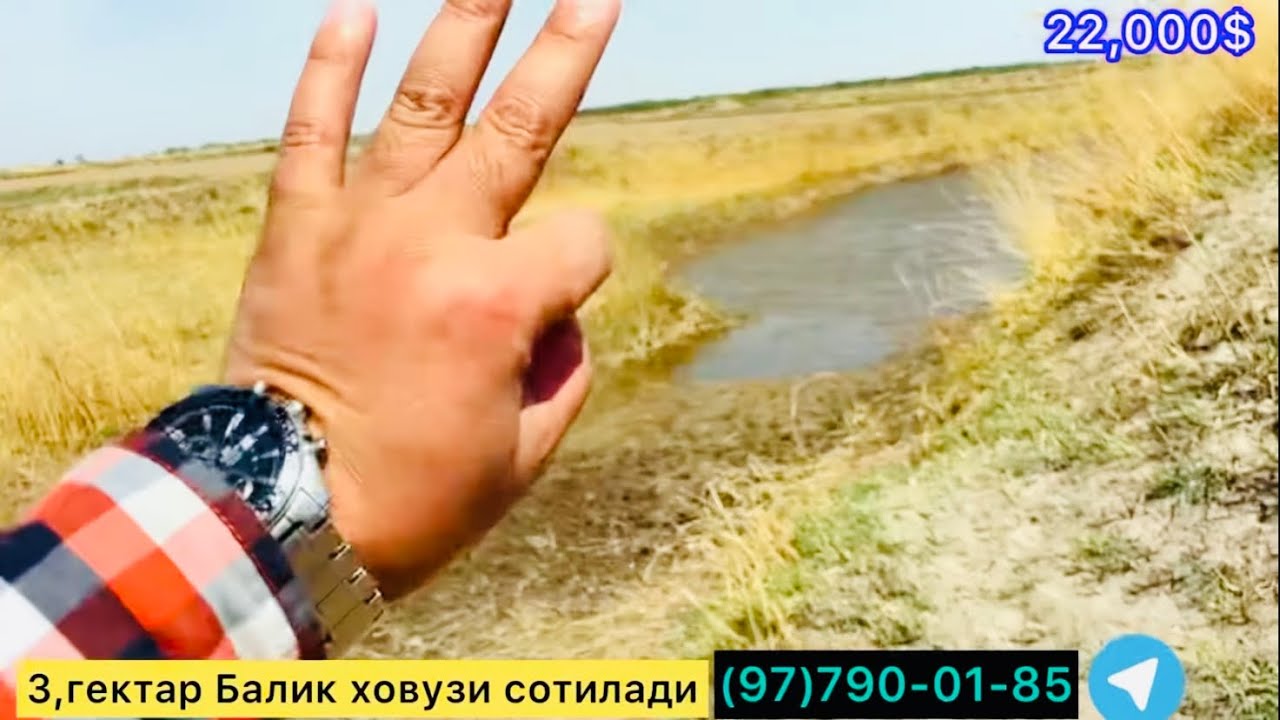 Уч гектар балик ховузи сотилади.