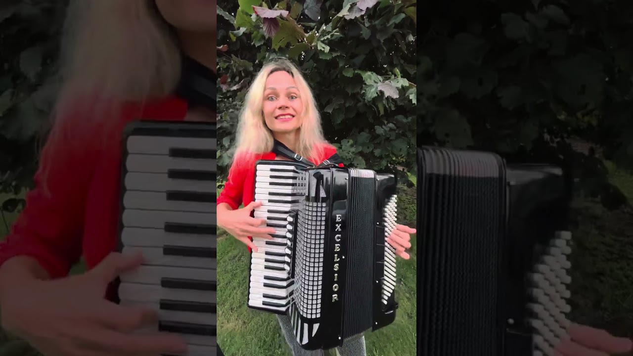 Hava Nagila🪗Jewish folk song🎼#accordion #instrumentalmusic #instrumentalmusician #accordionist