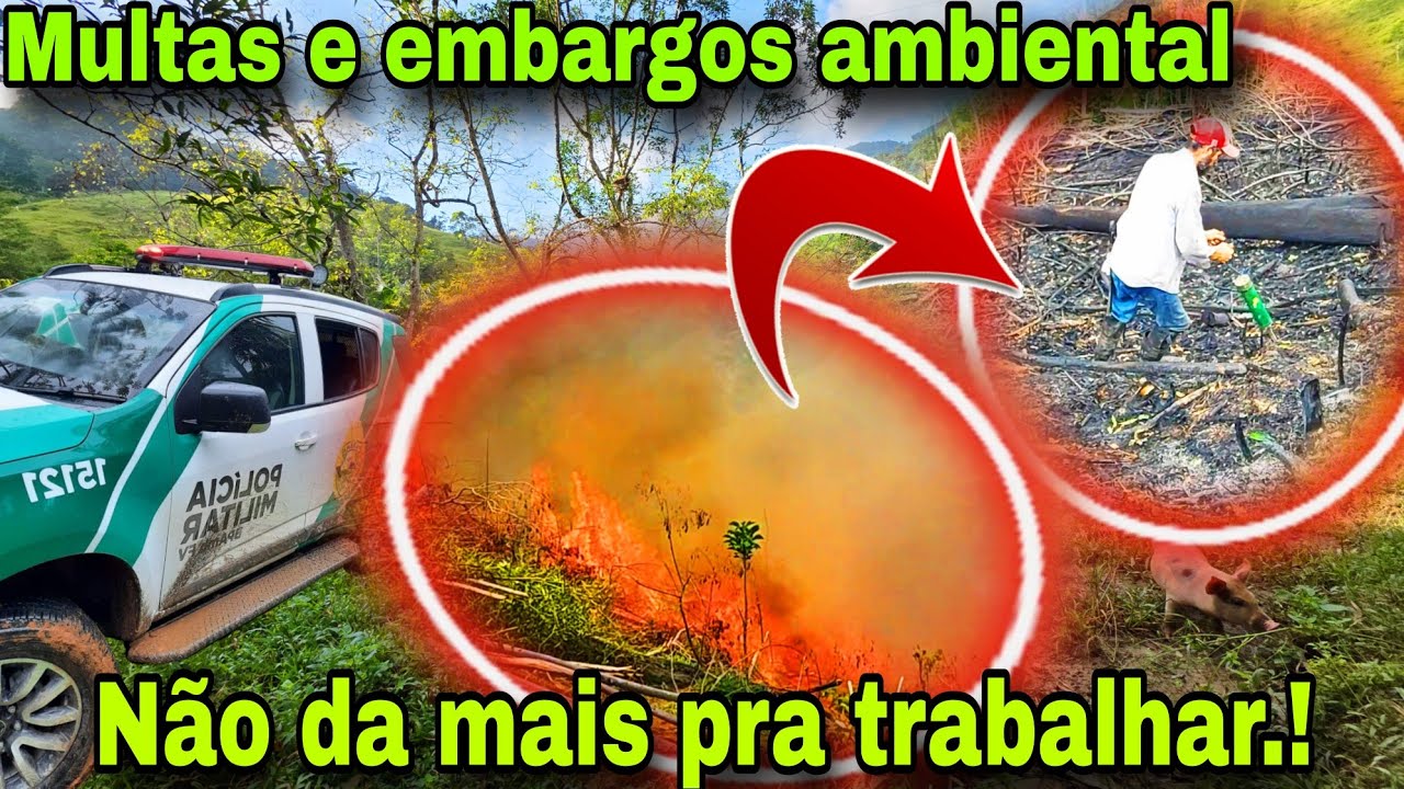 ISSO NÃO PODE MAIS NO SÍTIO.!! TUDO VIROU CRIM3 NÃO DA MAIS PRA TRABALHAR 