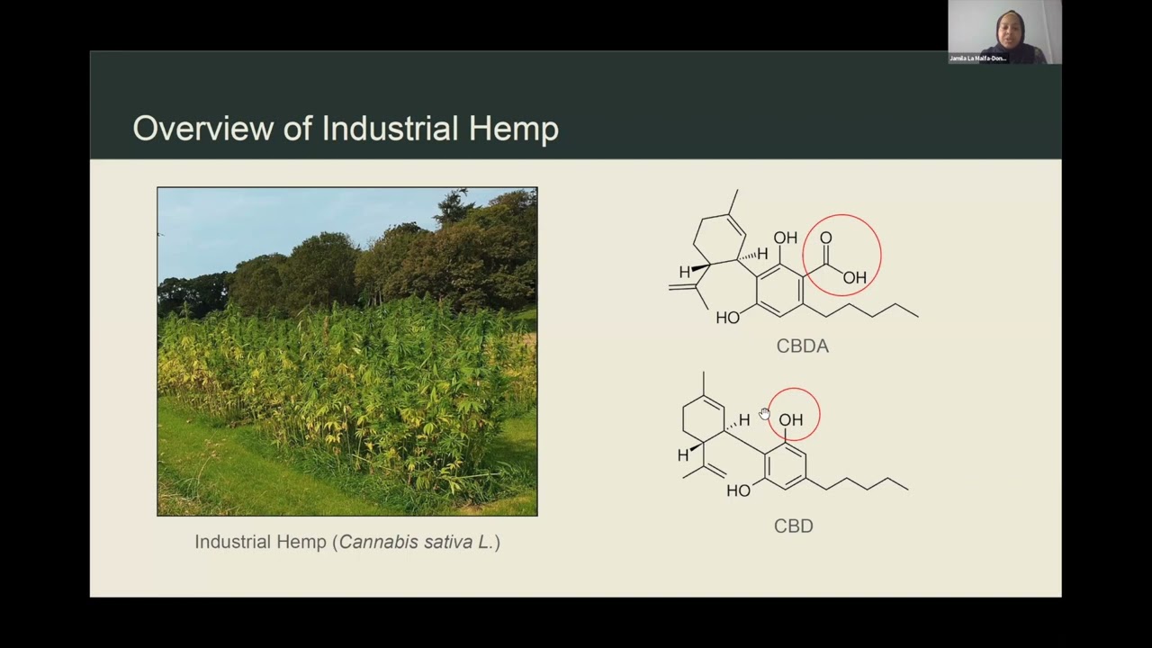 Jamila La Malfa-Donaldson: Hemp Processing, Extraction and Testing