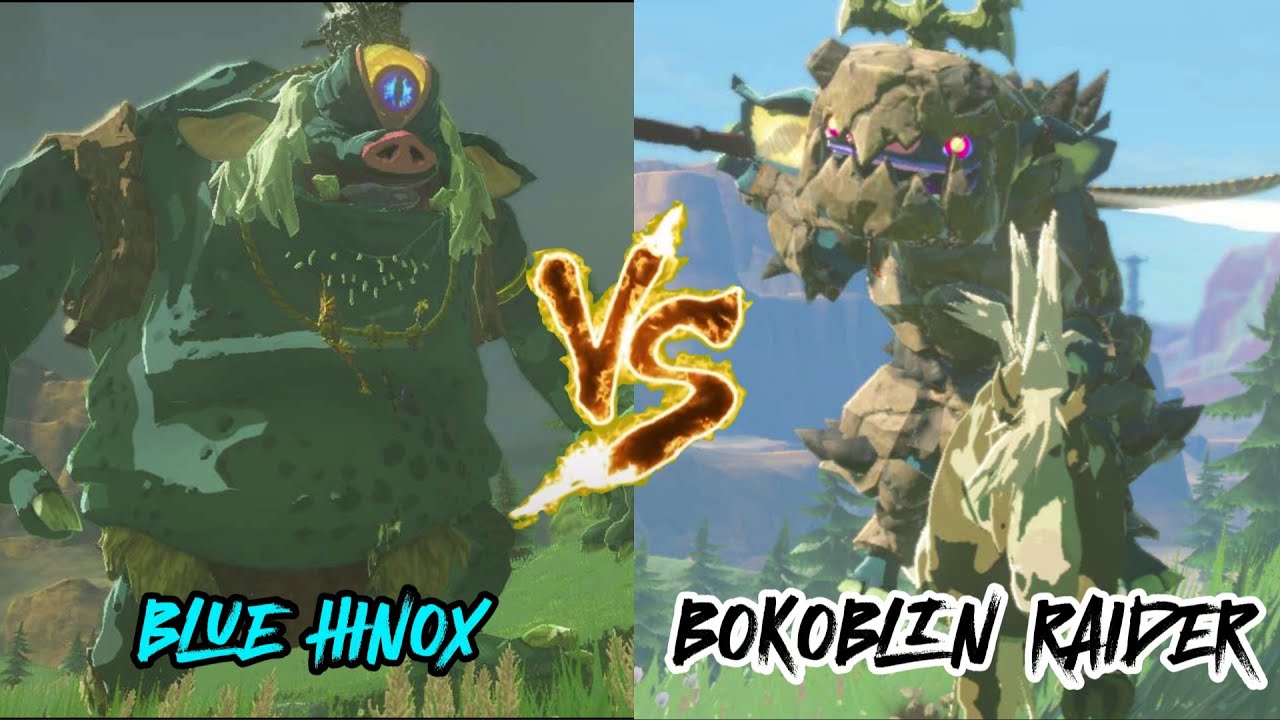 HINOX VS BOKOBLIN RAIDER !! (The Legend of Zelda: Tears of the Kingdom)