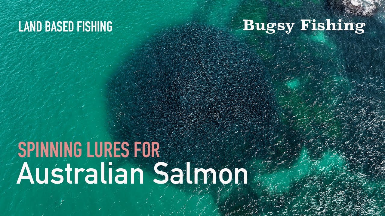 Spinning lures for Australian Salmon land based in Sydney Australia - Bugsy Fishing Ep 11