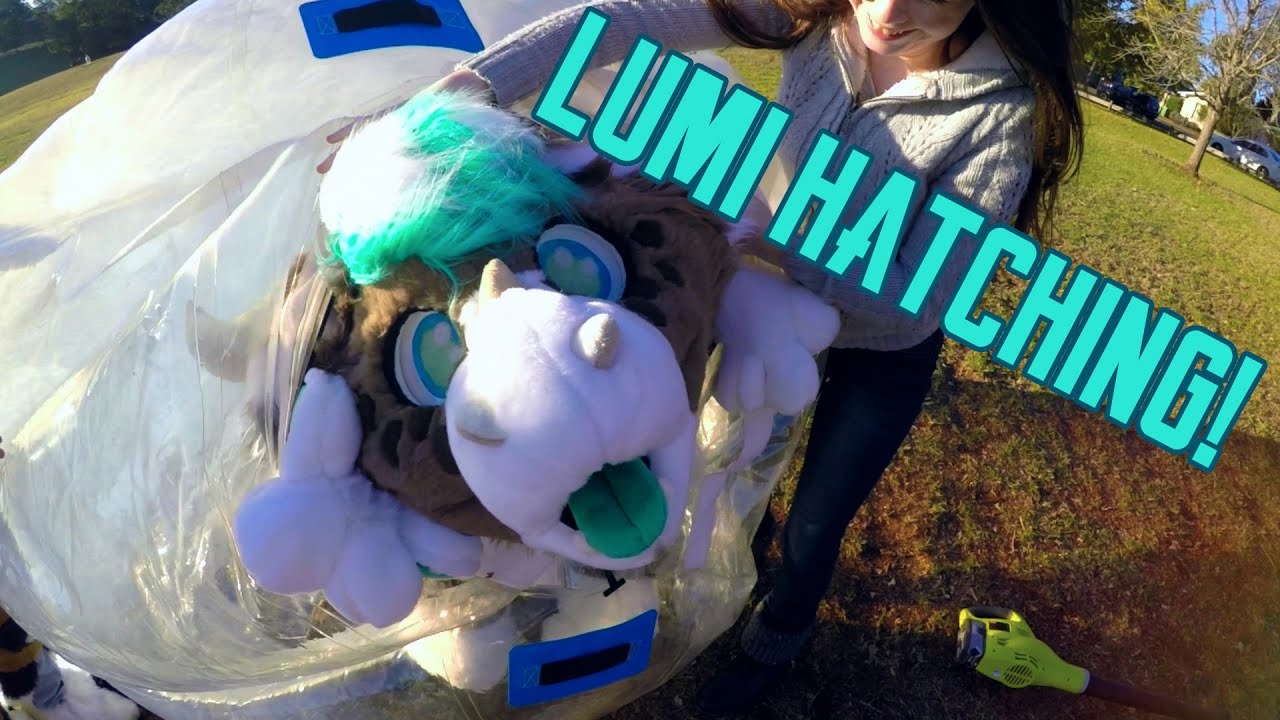 RARE FOOTAGE OF DUTCH ANGEL DRAGON HATCHING - Lumi