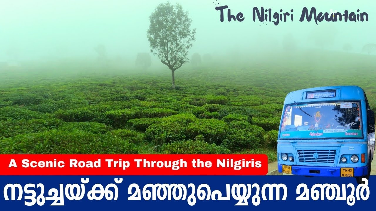 നട്ടുച്ചയ്ക്ക് മഞ്ഞുപെയ്യുന്ന മഞ്ചൂർ  | Beauty of manjoor  | Most beauty full place in  Nilgiris