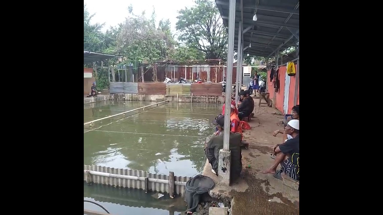 8 Februari 2026