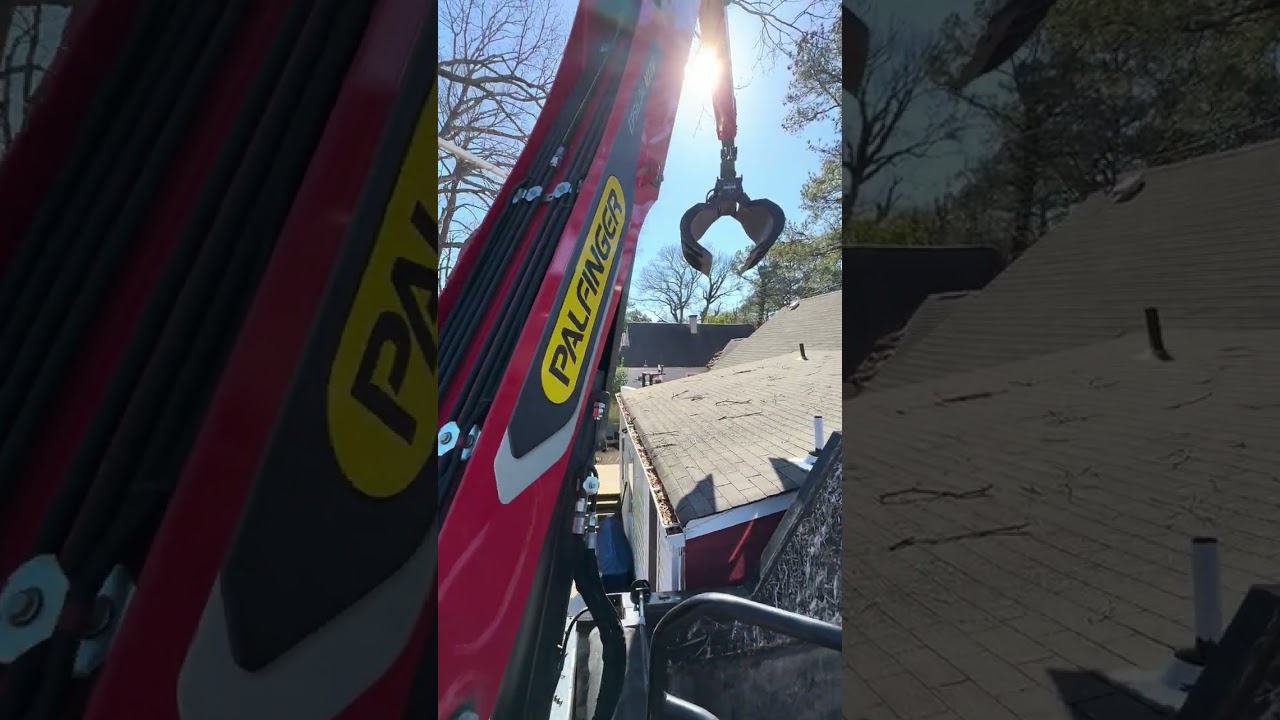 How We Remove Trees from Tight Spaces