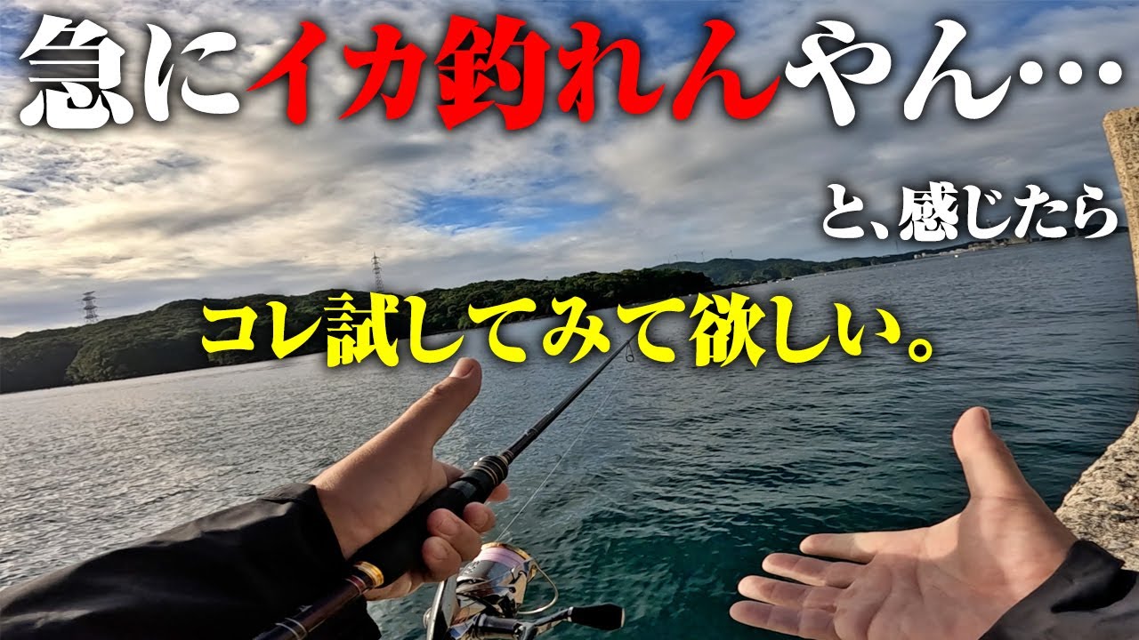 寒くなってエギング釣れねぇ！というタイミングで見て欲しい動画。晩秋〜冬にかけてのみんなの悩みを解決したい。