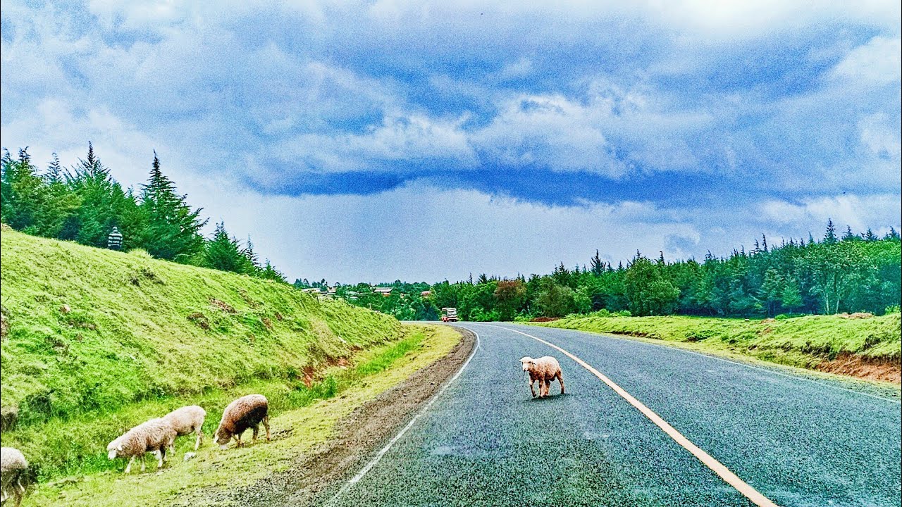 Ainabkoi to Kapsabet Town (Road C36 Kenya)
