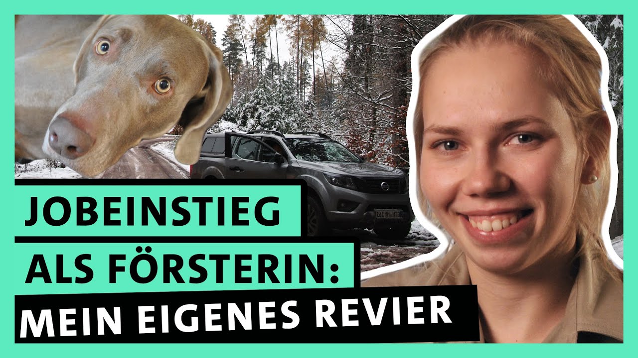 Försterin werden: Traumberuf im Wald!?| alpha Uni