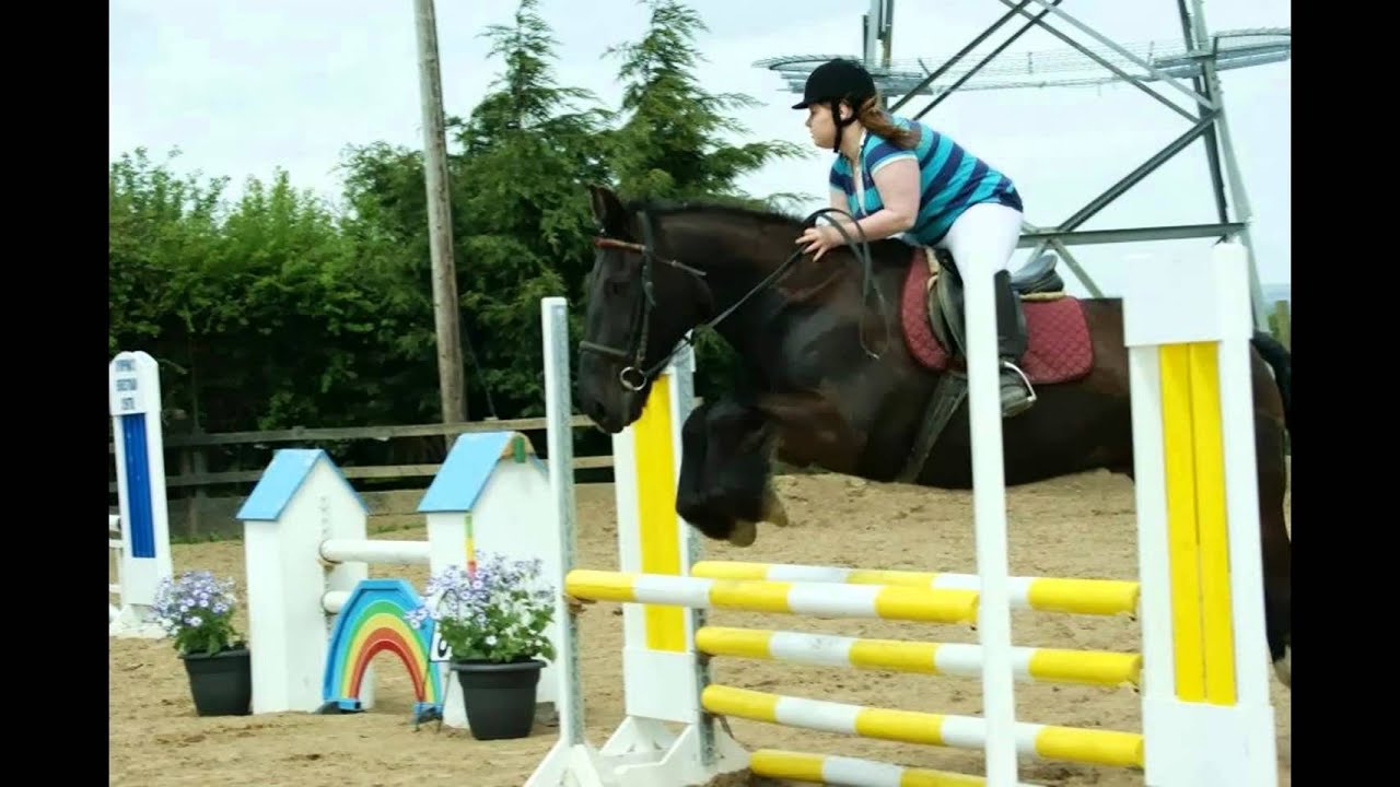Horse Riding Story
