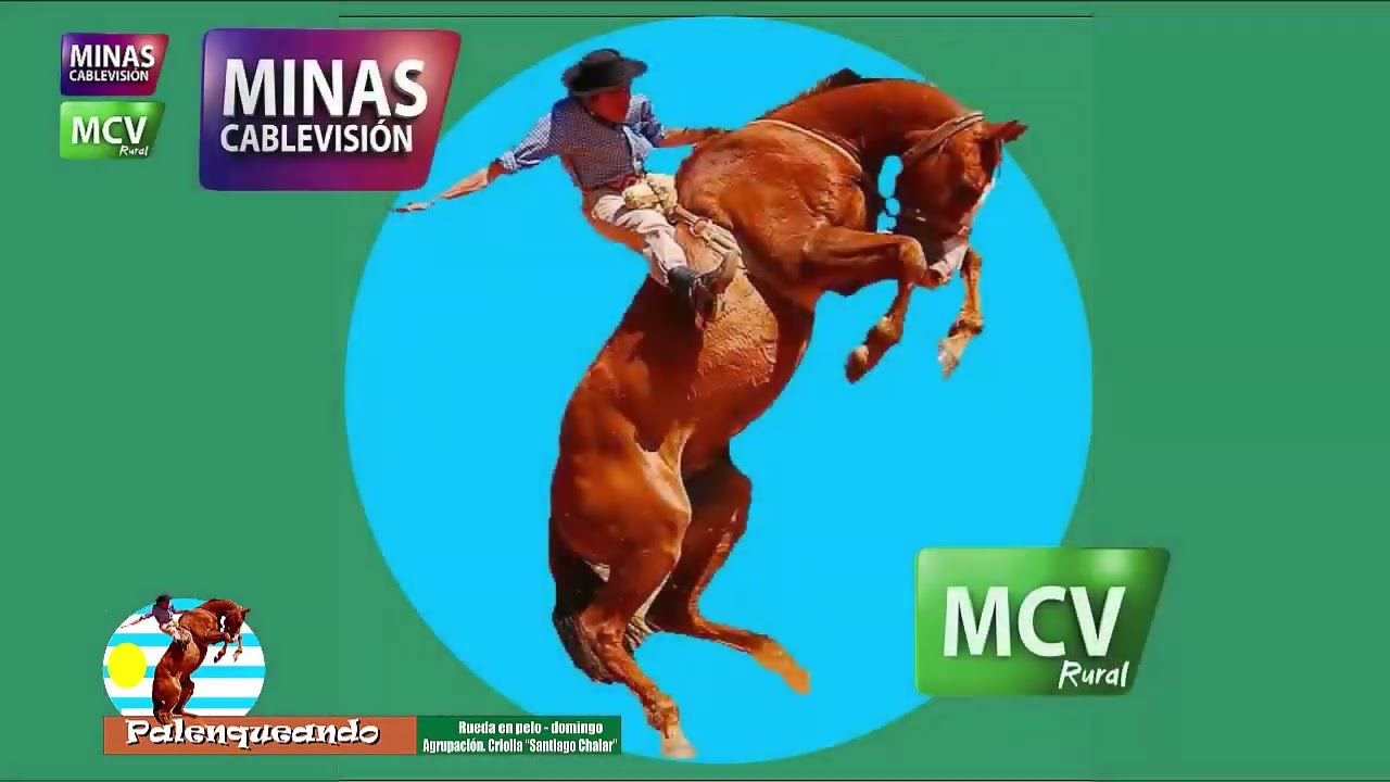 programa palenqueando 15 de noviembre 2025