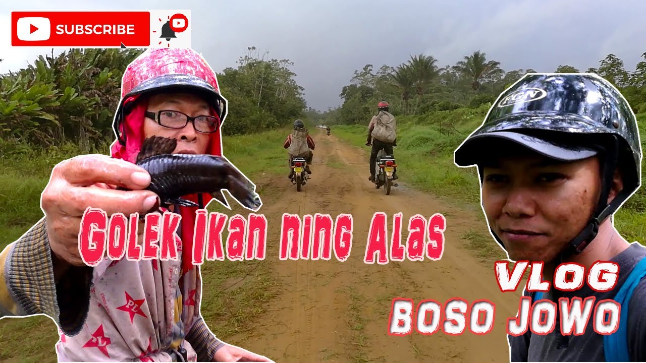 Golek ikan 
