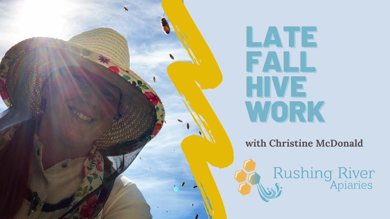October Hive Work: Late Fall Prep