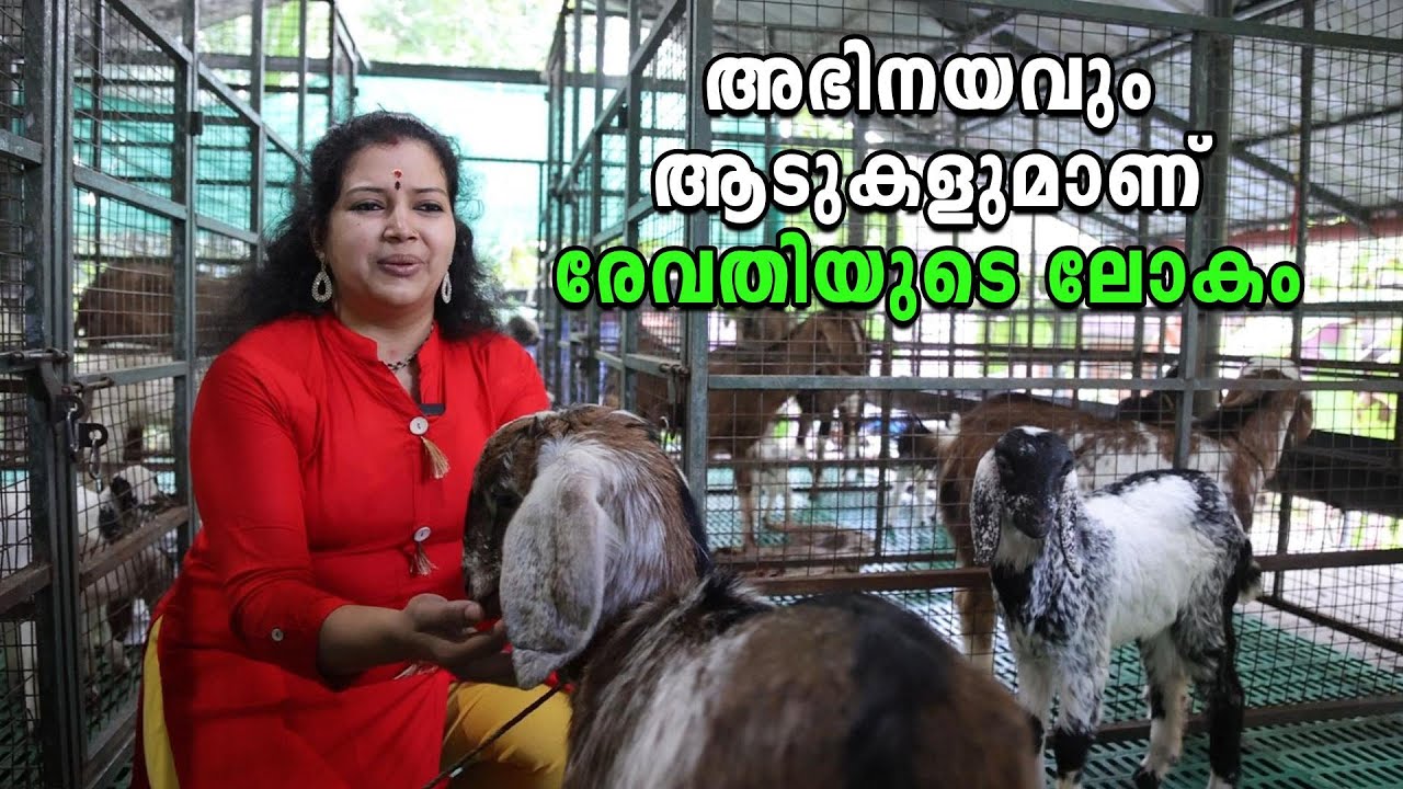 അരങ്ങും അഭിനയവും ആടുകളുമാണ് രേവതിയുടെ ലോകം | Goat Farm Thiruvalla