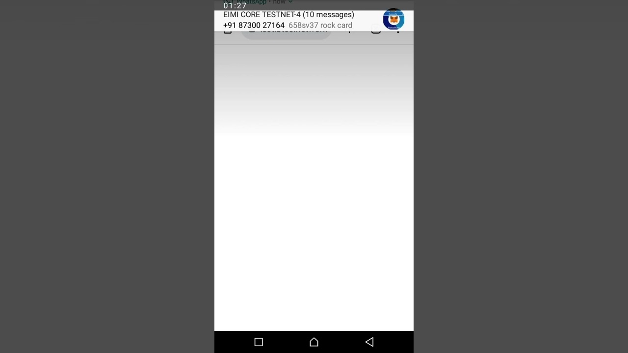 HOW TO CREATE YOUR CORE WALLET FOR TEST NET (2022/2023)