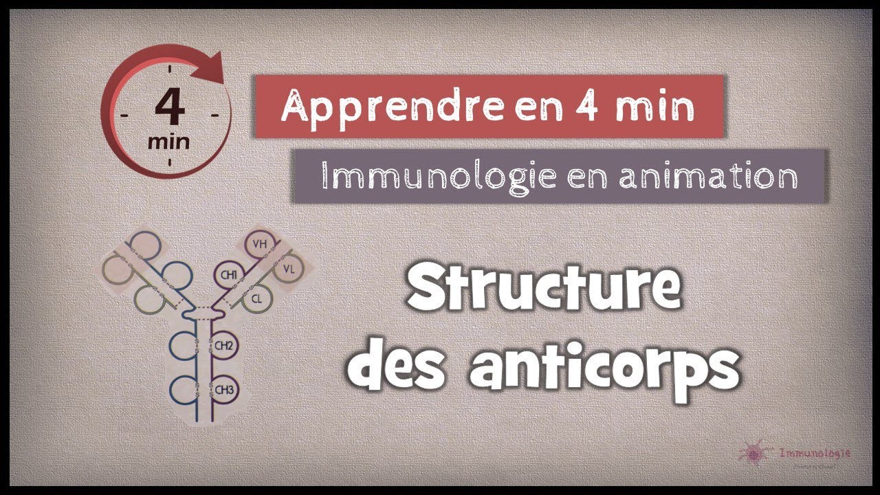 5-1◽ Structure des anticorps